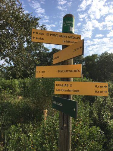 Proche Uzes Le Cocon Du Peintre Anglais Sagriès Exteriör bild