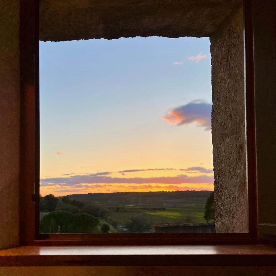 Proche Uzes Le Cocon Du Peintre Anglais Sagriès Exteriör bild